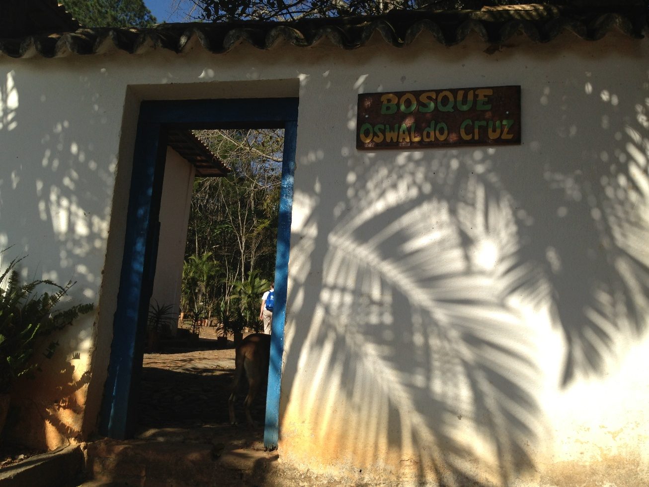 Oswaldo Cruz's birthplace (30).JPG